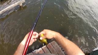 Cane pole fishing for Bluegills 1 [upl. by Marchak]