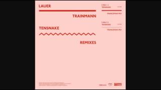 Lauer  Trainmann Tensnake Franceman Remix [upl. by Lachman]