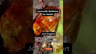 Boswellia Resin’s Ancient Healing Power  Ayurvedic Secrets for Joint Health amp Inflammation Relief [upl. by Hnirt]