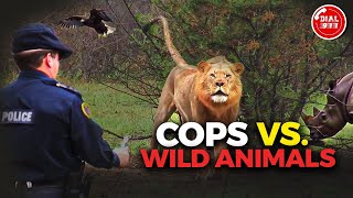 Police Encountering Wild Animals [upl. by Kapoor]