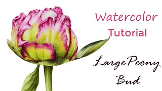 Peony Watercolor Tutorial  painting the details [upl. by Peckham]