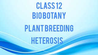 Plant breeding  Heterosis  Class 12  Bio botany  TN state board  Tamil [upl. by Yeleak]