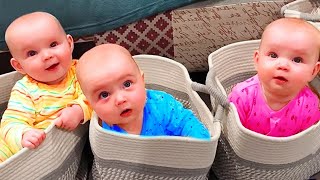 🔴LIVE 30 minutes Funniest Triplet and Twin Babies  Cute Funny Baby Video  Cool Peachy🍑 [upl. by Annirtak]