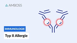 Antikörpervermittelte zytotoxische Reaktion  Typ II Allergie  Biochemie  AMBOSS Video [upl. by Gordon]