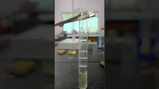 Millons Reagent Test  Egg Albumin  Protein Test viral [upl. by Droflim394]