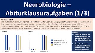 Neurobiologie  Abiturklausuraufgaben Teil 1 Wirkung von Synapsengiften  Biologie Oberstufe [upl. by Ettelorahc]