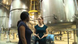 What Does a Chemical Engineer Do  Careers in Science and Engineering [upl. by Tra]