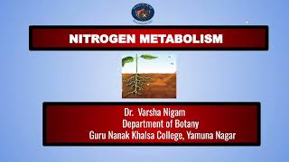 Nitrogen Fixation By Dr Varsha Nigam [upl. by Nomyar]