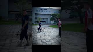 How did it go through the dogs leg also 💀🔥 football trending funny [upl. by Larry]