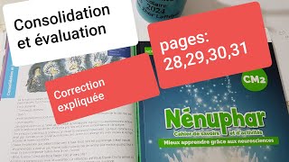 Consolidation et évaluation pages 283930et 31 Nénuphar CM2 [upl. by Anyotal]