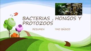 BACTERIAS HONGOS Y PROTOZOOS [upl. by Mahtal]