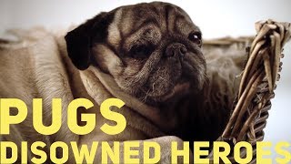 Pugs  Disowned Heroes 2011 [upl. by Corbet53]