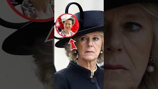 Princess Anne Takes Down Camilla Over Broken NonCompete Promise shorts catherine kate [upl. by Bogosian]