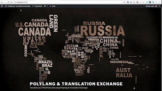 Translating WordPress site with Polylang and Translation Exchange [upl. by Eityak]