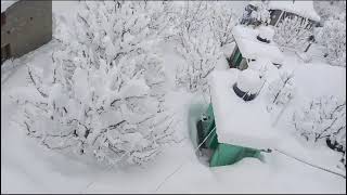 The valleys of Manali became paradise due to snowfall [upl. by Otter]