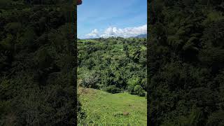 INVITACIÓN A LOS TURISTAS QUE CONOZCA ESTA REGIÓN BONITA paisajeculturalcafetero coffeeregion [upl. by Nylrac765]