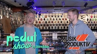 The quotMusik Produktivquot Guitar Department Walkthrough [upl. by Laitselec9]