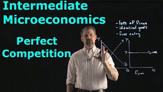 Intermediate Microeconomics Perfect Competition [upl. by Norad302]