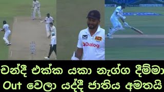 Dimuth Karunaratne livid with Dinesh Chandimal after being run out [upl. by Sirret]