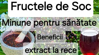 Fructele de Soc  beneficiile uimitoare pentru sanatate Suc din fructe de soc  rețetă [upl. by Harod]