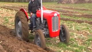 Ferguson FE35 Ploughing [upl. by Cirderf]