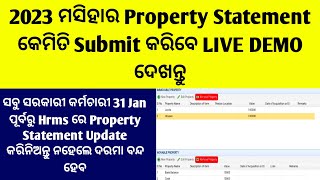 How To Update Property Statement In Hrms 2023Property Statement In Hrms Odisha Live DemoProperty [upl. by Renrut71]