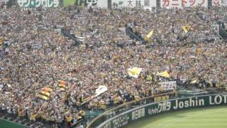 甲子園での凄まじい応援。５万人の阪神ファン [upl. by Annai]