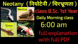 Neotany in Hindi bsc first year Happybiologyclass [upl. by Adnomal]