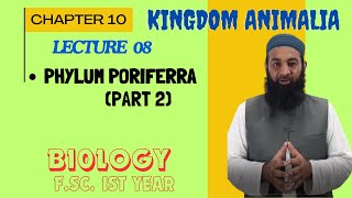 Porifera part 2 The Most Primitive Animals I Chapter 10 I FSc I First Year I biology I Lec 2 [upl. by Dowling]