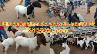 Feira de Caprinos é o vinos de Jataúba PE 18102024 parte 1 [upl. by Maximo316]