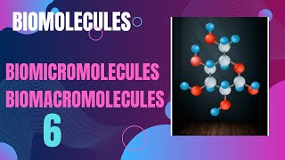 Class 11BiomoleculesBiomicromoleculesBiomacromolecules [upl. by Notyep289]