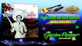 En Brazos De Otro Querer  Odilio González  Música Picotera [upl. by Modla]