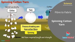 Fibre to Fabric Class 6 Science  Spinning Cotton Yarn [upl. by Soutor288]