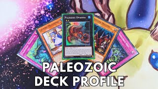 Competitive Paleozoic deck profile May 2024 TCG Yugioh [upl. by Phil991]