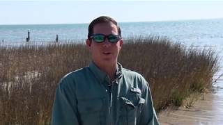 Texas Fishing Tips Fishing Report April 26 2018 Baffin Bay Area With CaptGrant Coppin [upl. by Farver86]