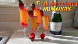 Fresh Strawberry Mimosas  ALCOHOL amp NONALCOHOLIC  COCKTAILS [upl. by Zoltai974]