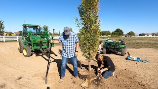 Planting The First Trees On The New Property  2024 Lilacs 🌳💜🙌  Garden Answer [upl. by Aleacin]