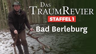 Frühjahr im TraumRevier  Bad Berleburg  JÄGER TraumRevier [upl. by Anahpets]