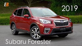 NEW  2019 Subaru Forester  Bigger More Refined No Turbo [upl. by Nevek]