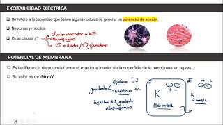 I CURSO REPASO DE FISIOLOGIA HUMANA I EXCITABILIDAD ELECTRICA POTENCIALES DE ACCION [upl. by Bonilla]