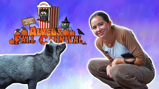 FALL CARNIVAL AT ALVEUS🍁🎡🎢  11424 [upl. by Amery860]