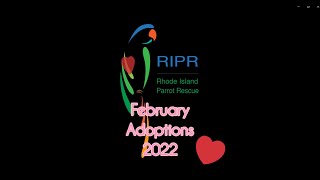 February 2022 Adoptions from RIPR [upl. by Quintus]