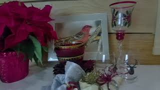 Vlogmas Episode 1  Poinsettias and tableware Getting ready for Christmas on the Mountain [upl. by Ahsinrev]