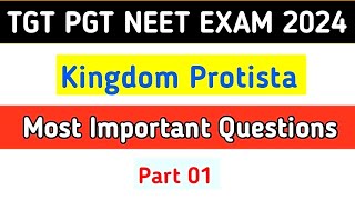 Kingdom Protista MCQ  Biological Classification MCQ  Class 11  NEET 2024 [upl. by Nemzaj]