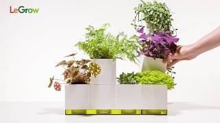 The Most Creative Indoor Planter  LeGrow Build Set  Building gardens and extensions for desk [upl. by Odnalro302]