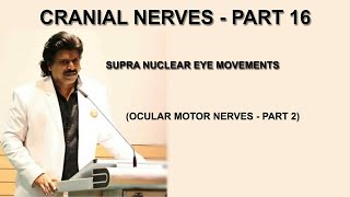 CRANIAL NERVES  PART 16 SUPRA NUCLEAR EYE MOVEMENTS  SACCADES OKN OCULAR MOTOR NERVES PART 2 [upl. by Chura893]