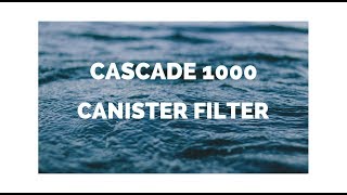 Cascade 1000 Canister Filter Setup and Install  Turtle Tank Filtration [upl. by Rabbaj]