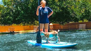 Were so bored were PADDLE BOARDING with our GOATS [upl. by Adkins]