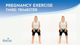 Seated Pelvic Floor Activation Step Progression  Third Trimester Pregnancy Exercise [upl. by Ilene]