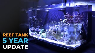 Nano Reef Tank Update Year 5  Blue Reef Tank [upl. by Aztiraj]